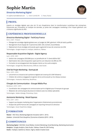 Template Professional