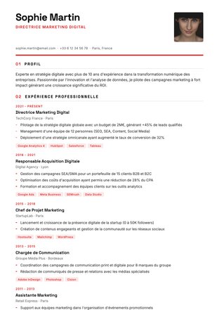 Resume template Vertex